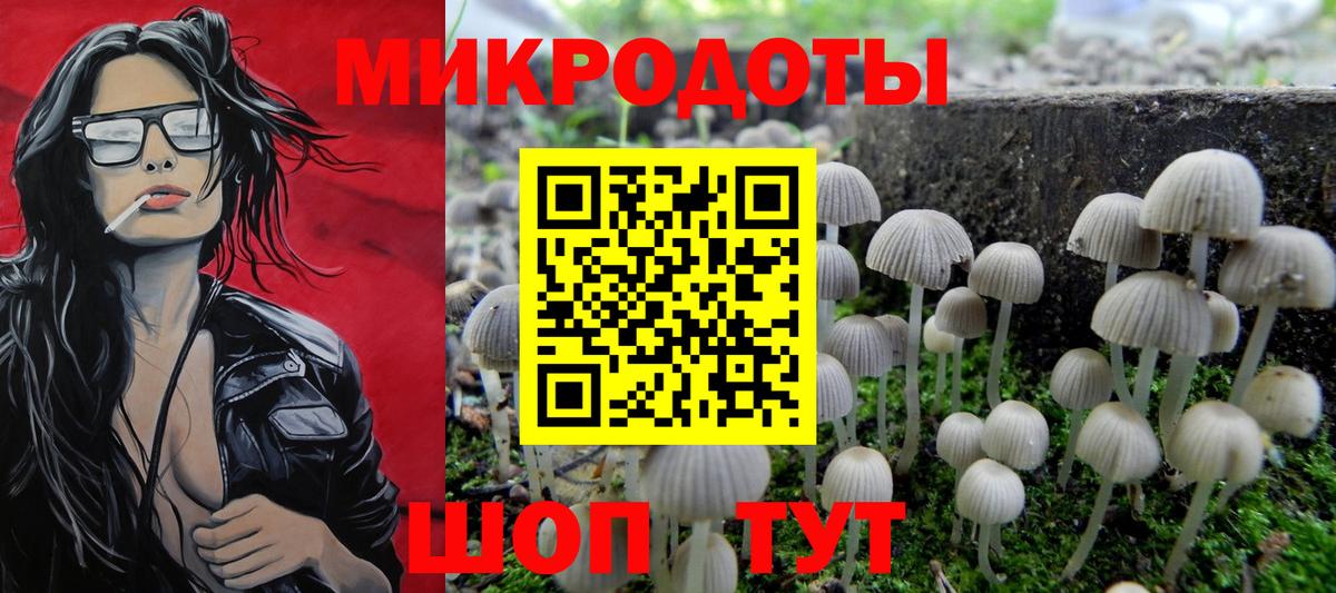 Псилоцибиновые грибы Psilocybe  Вход с VPN  Владимир  хочу   Псилоцибиновые грибы GOLDEN TEACHER 