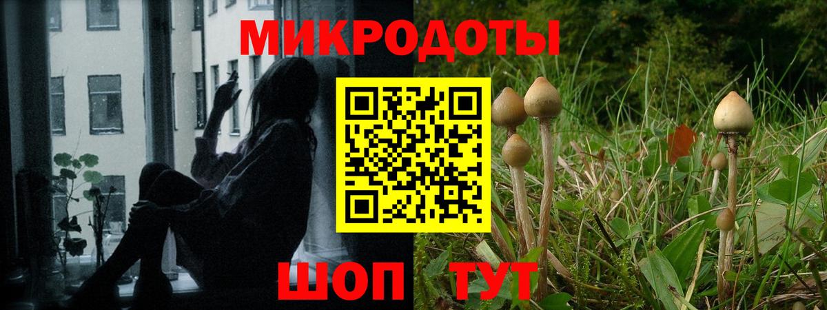 Псилоцибиновые грибы мицелий Владимир